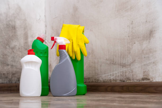 Gettysburg, PA Mold Removal Company